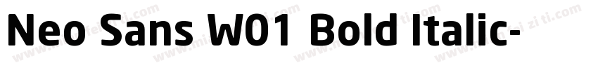 Neo Sans W01 Bold Italic字体转换